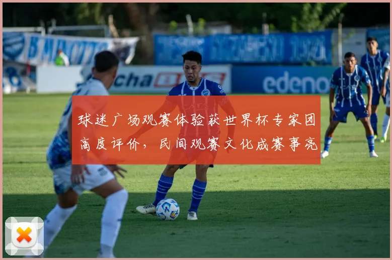 球迷广场观赛体验获世界杯专家团高度评价，民间观赛文化成赛事亮点