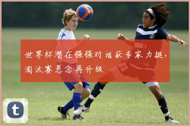 世界杯潜在强强对话获专家力挺，淘汰赛悬念再升级