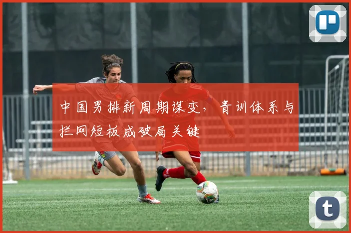 中国男排新周期谋变，青训体系与拦网短板成破局关键